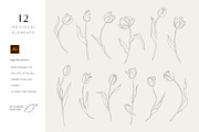 Minimalist Tulip Line Sketches, a Decorative Illustration by Galerie Design Studio (Thumbnail 2 of 7)