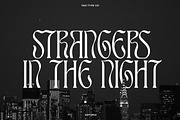 TAN - ASTORIA, a Serif Font by TanType (Thumbnail 7 of 21)