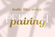 Calmius EB Italic, a Serif Font by NREY (Thumbnail 5 of 8)