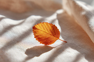 Single amber leaf resting on smooth beige fabric illuminated by soft light, a Photo by AlyaAnd