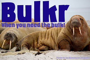 Bulkr, a font when you need impact