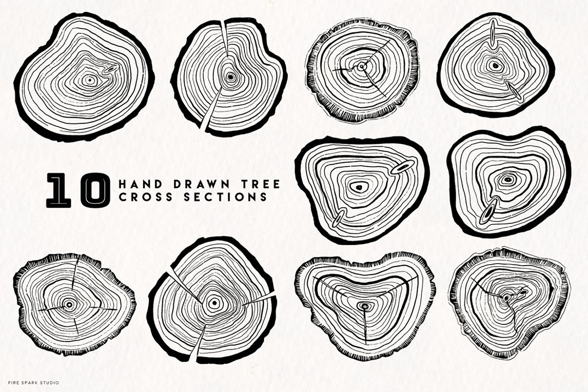 Timber Tree Vector Illustrations, an Object Illustration by Fire Spark ...