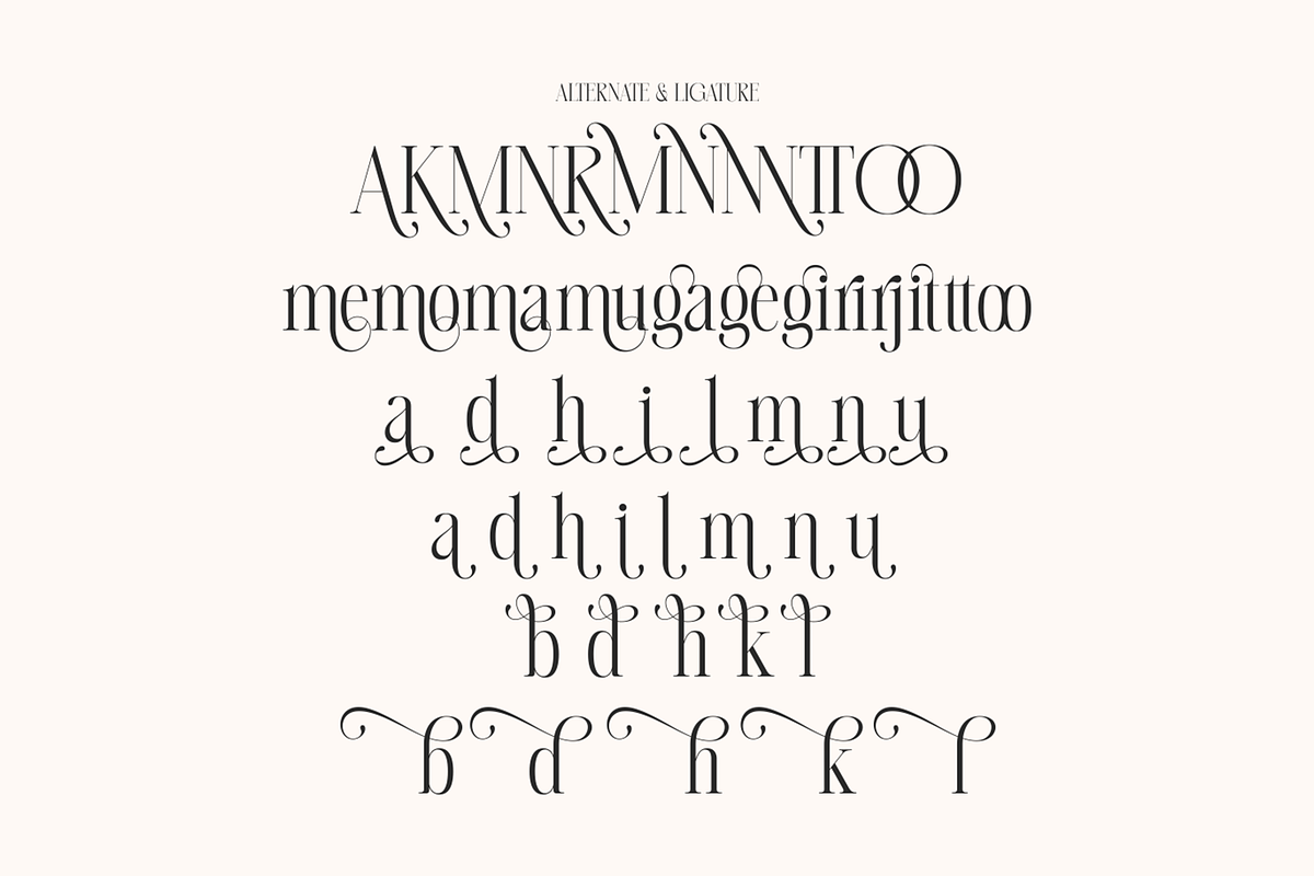 Megalme - Modern Serif Display Font, a Serif Font by Megatype (Photo 15 of 17)