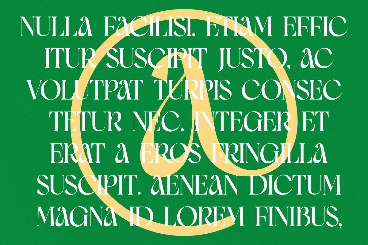 Moves Cabse Modern Display Serif, a Serif Font by timelesstype.co (Photo 12 of 20)