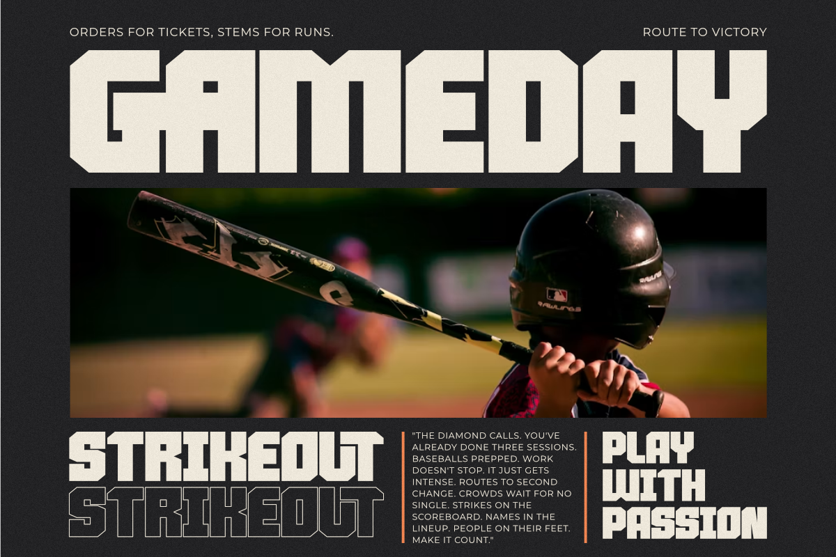 Boards - Condensed Sans Display Font, a Sans Serif Font by Pian45 Studio (Photo 4 of 8)