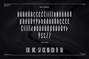Sereena-Classy & Stylish Sans Serif, a Sans Serif Font by overlaytemplates (Thumbnail 5 of 5)
