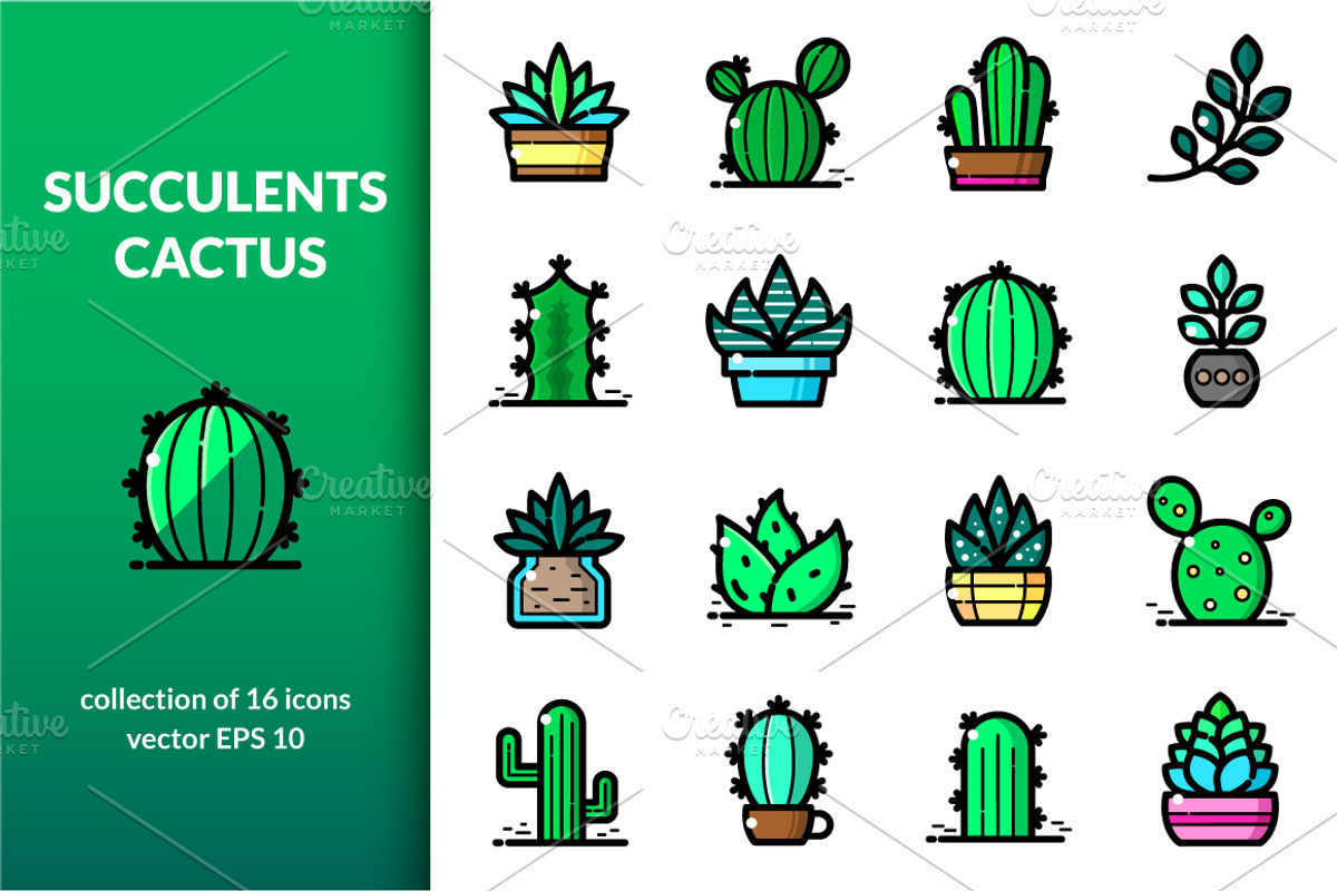 Succulents and Cactuses, an Outline Icon by meowu