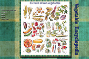 65 hand drawn vegetables, a Food Illustration by ariadna de raadt (Thumbnail 2 of 3)