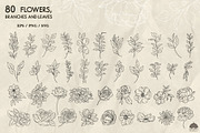 Botany Line Art Collection, a Decorative Illustration by Skliarova (Thumbnail 2 of 10)