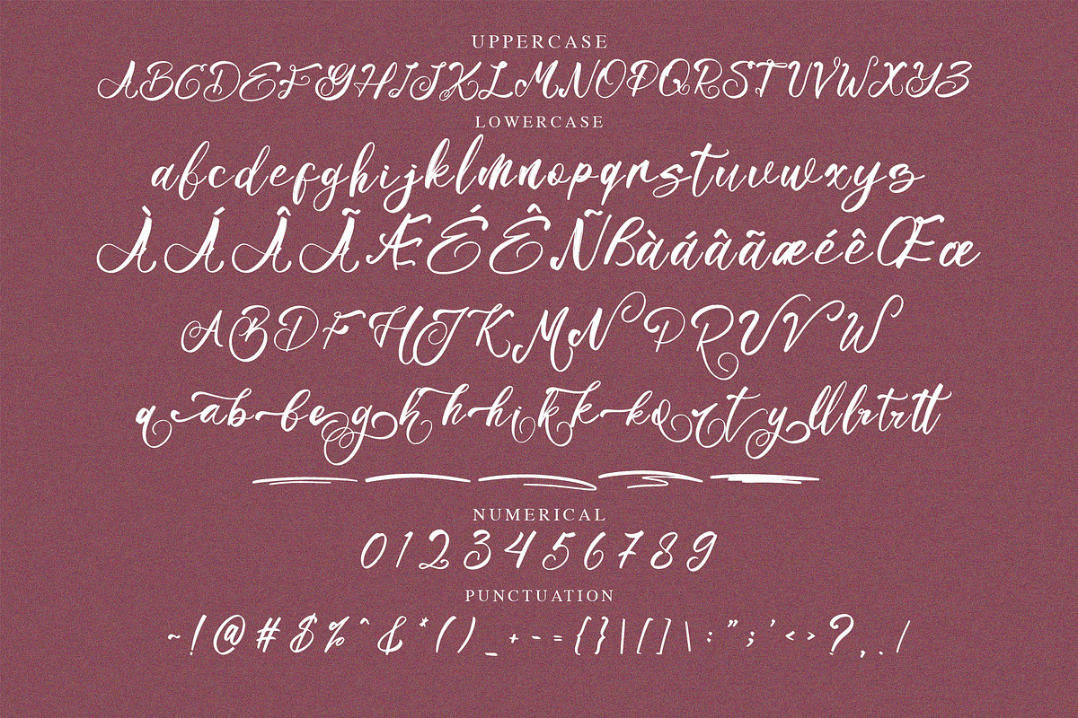 Mellonikha Brush Script Font, a Script Font by NTC Graphic (Photo 8 of 9)