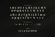 Regart Luxury Serif Font, a Serif Font by Perfectype (Thumbnail 7 of 8)