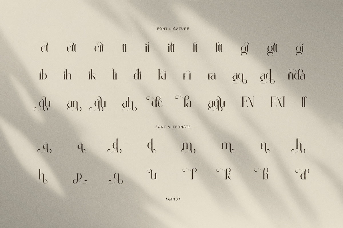 Aginda Elegant Serif Font, a Serif Font by Perfectype (Photo 8 of 8)