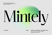 Mintely, a Serif Font by din-studio.com (Thumbnail 1 of 12)