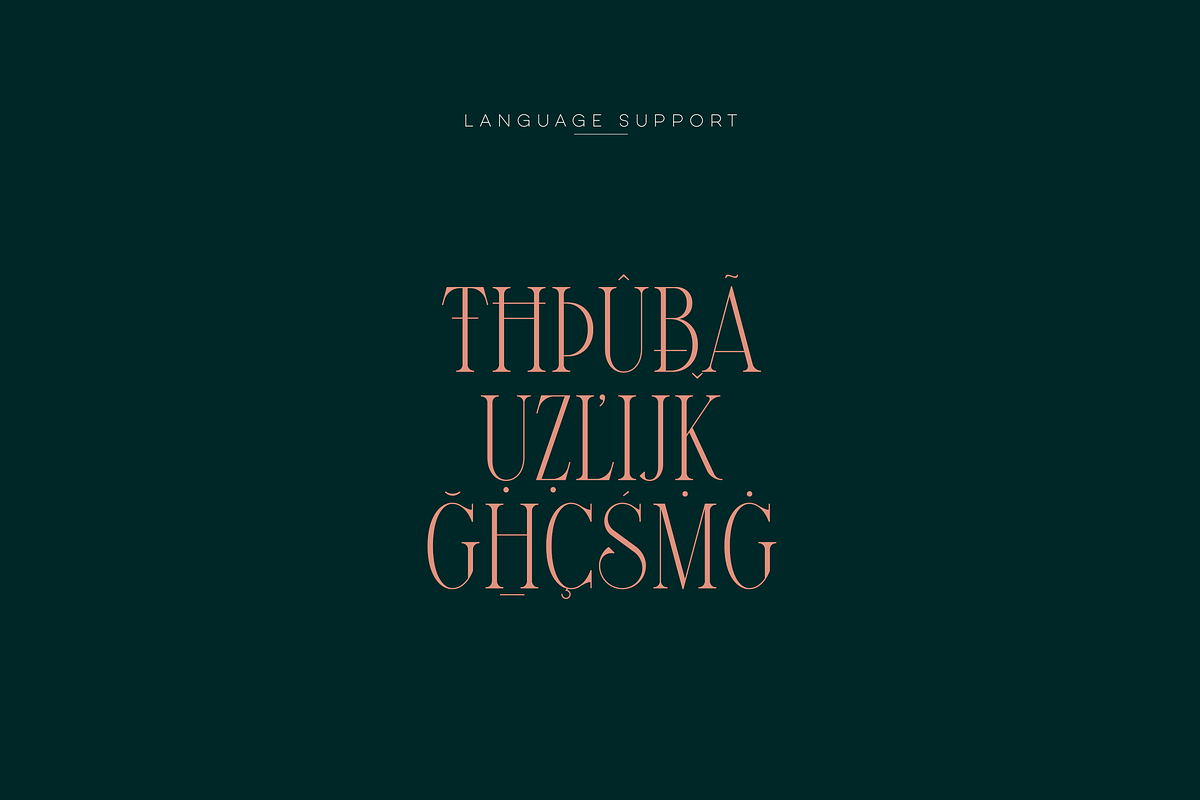 SALE! Maturation Typeface - font duo, a Serif Font by VP Fonts (Photo 14 of 16)