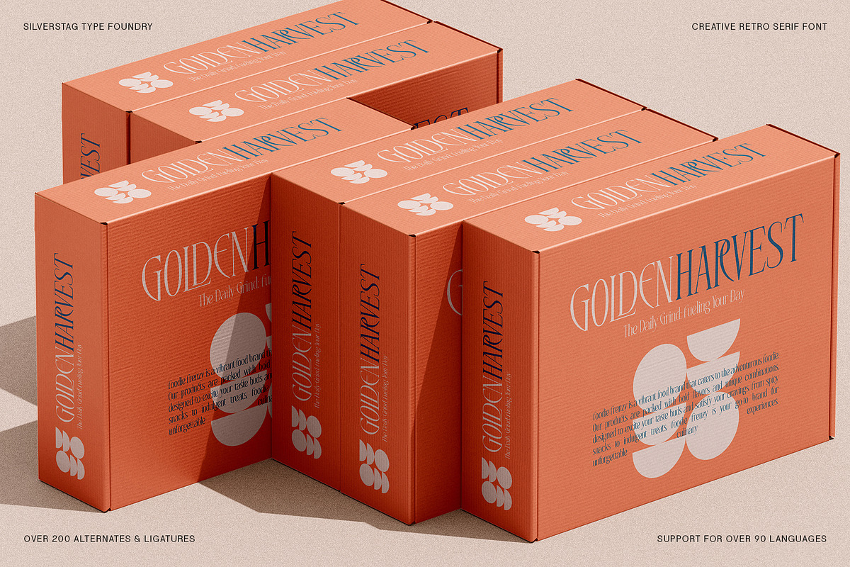SLTF Rogue Rebellion - Ligature Font, a Serif Font by SilverStag Type Foundry (Photo 20 of 30)
