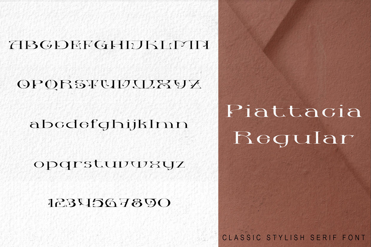 Piattacia font family, a Serif Font by greatypes studio (Photo 3 of 15)