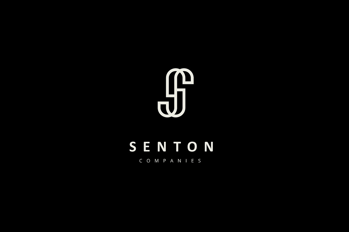Letter S Logo, a Branding & Logo Template by CAIRON CREATIVESTUDIO (Photo 2 of 6)