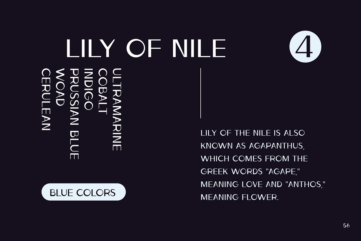 Ludeco Uppercase Modern Display Font, a Sans Serif Font by Wild Ones (Photo 6 of 8)