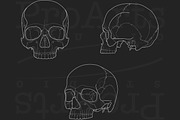 Human Skull Brush Stamp Set, a Brush Add-On by Lucrumplus (Thumbnail 3 of 4)