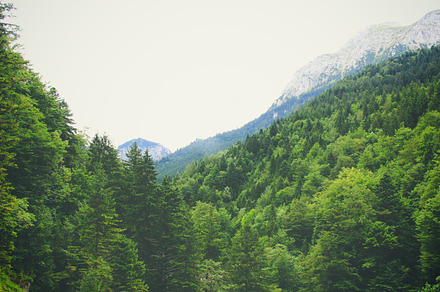 Green Landscape Featuring Landscape Green And Rural preview 6