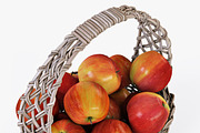 Wicker Basket 04 Gray with Apples, a Food & Drink 3D Model by Markelos (Thumbnail 7 of 31)