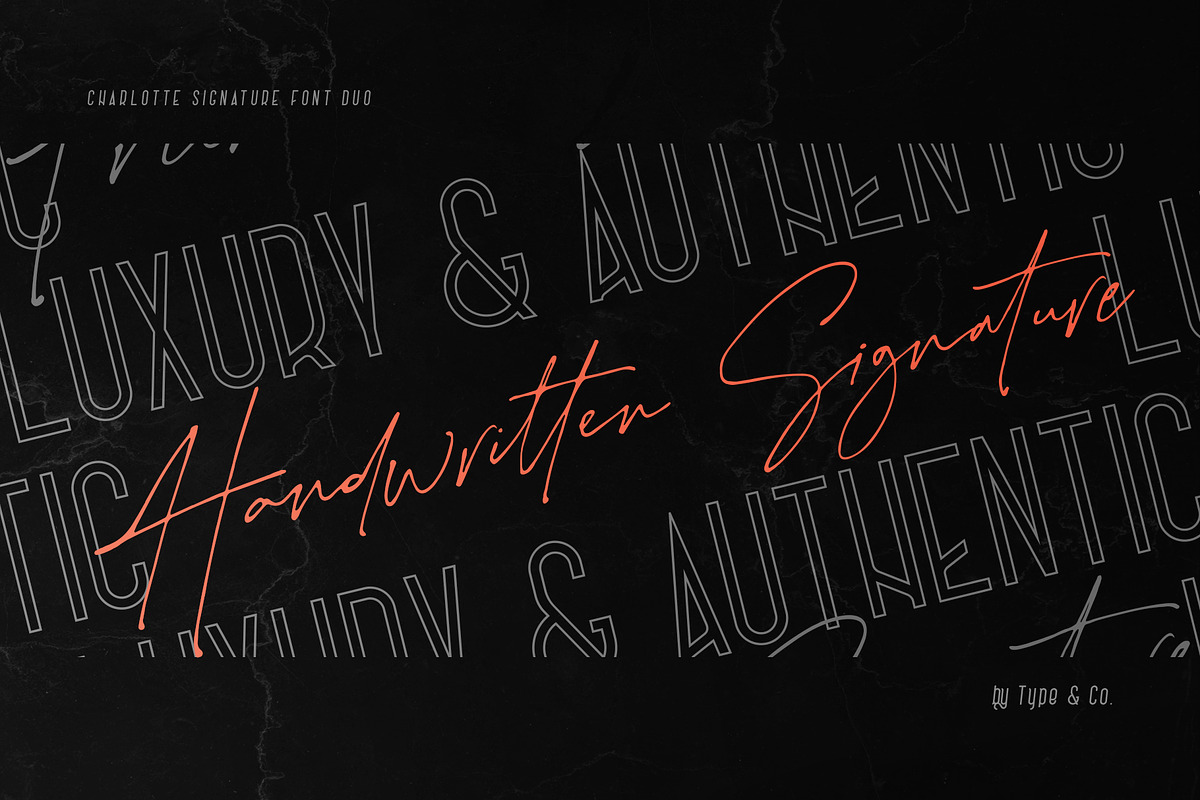 Charlotte Signature Font Duo, a Script Font by Type and Co. (Photo 15 of 18)