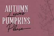 Sparkling Bright - Beauty Font Duo, a Serif Font by Dm Studio (Thumbnail 3 of 10)