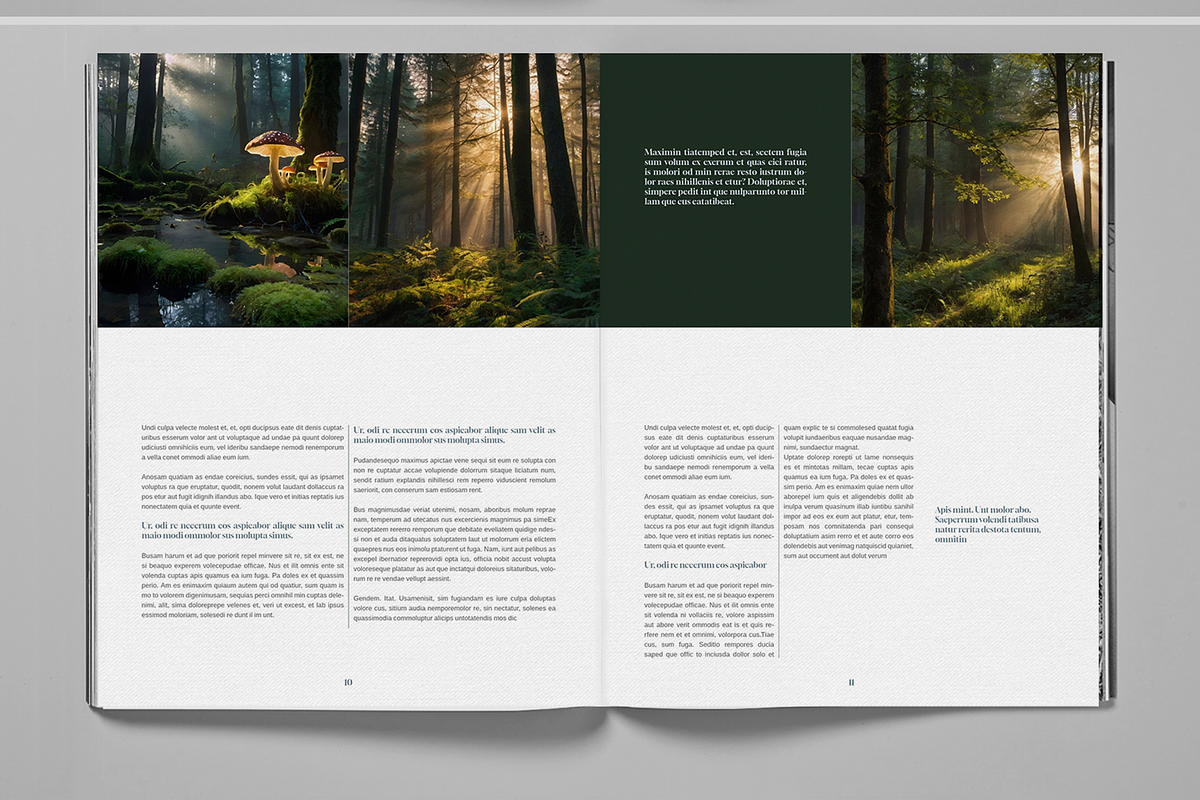 Dark Green Forest Brochure Template, a Brochure Template by Boris Cupac (Photo 6 of 7)
