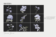 Hortensis, Elegant & Luxury Prints!, a Pattern Graphic by Pink Linen (Thumbnail 8 of 14)