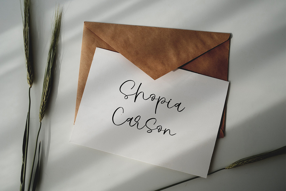 Vogius Signature - Script, a Script Font by Krakenbox Studio (Photo 9 of 12)