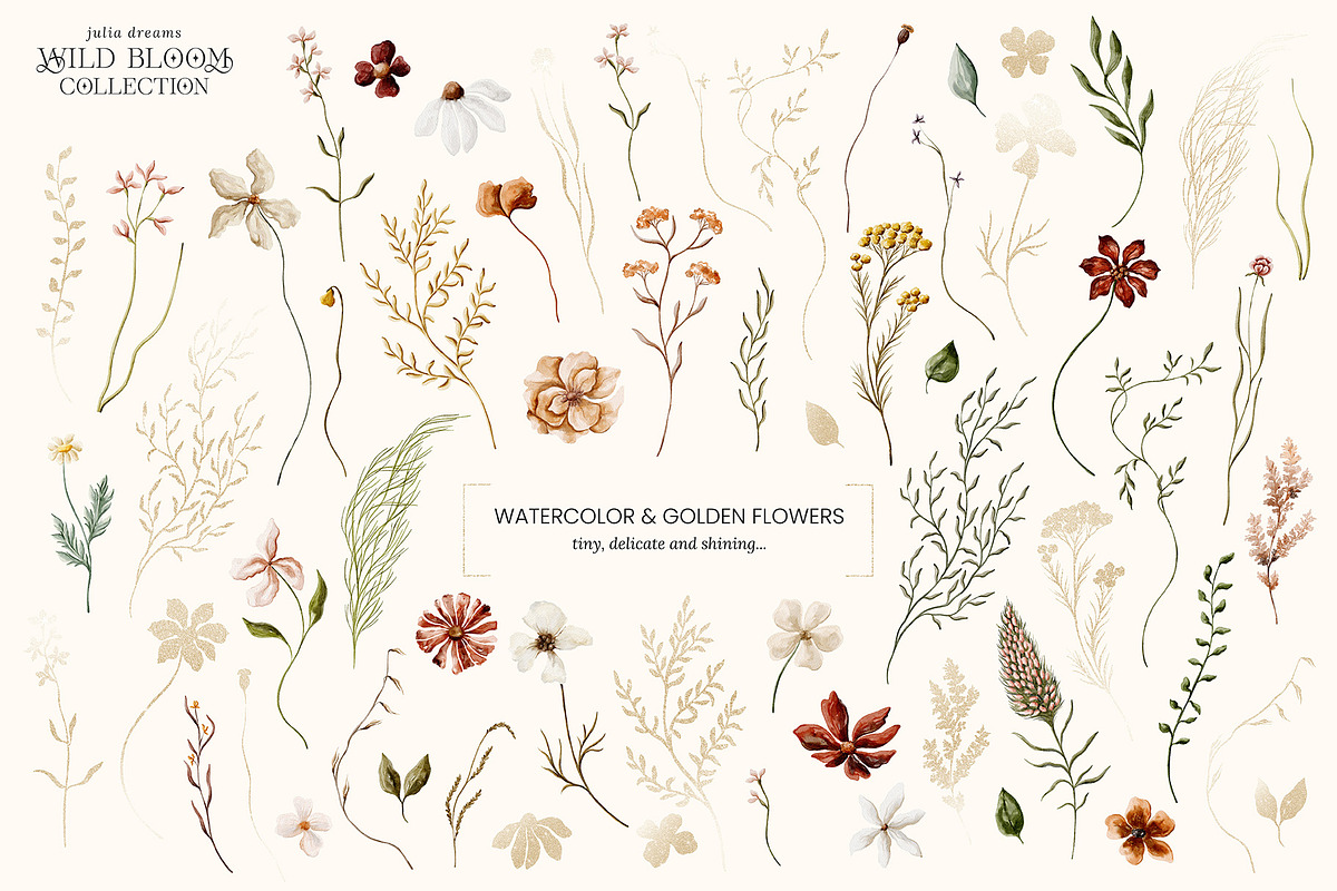 Wild Bloom Watercolor Collection, an Illustration by Julia Dreams (Photo 6 of 10)