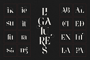 Wonder Type - high-end serif font, a Serif Font by VP Fonts (Thumbnail 8 of 20)