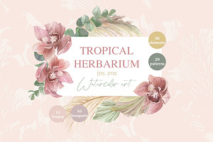 Tropical Herbarium