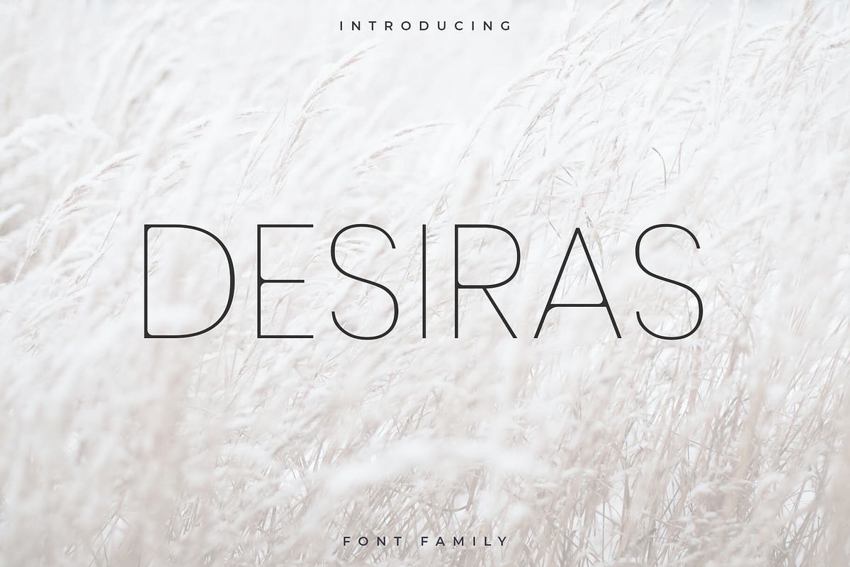 Desiras Font Family - Sans Serif, a Sans Serif Font by RC graphics (Photo 1 of 8)