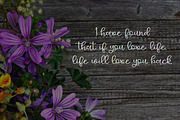 Delicate Romance Font Duo, a Script Font by Kristy Hatswell (Thumbnail 4 of 8)