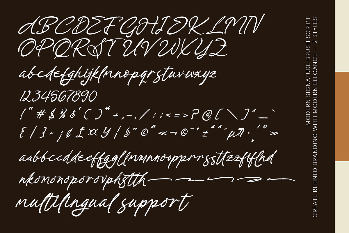 Prestige Snowfall, a Script Font by operatype.co (Photo 8 of 8)