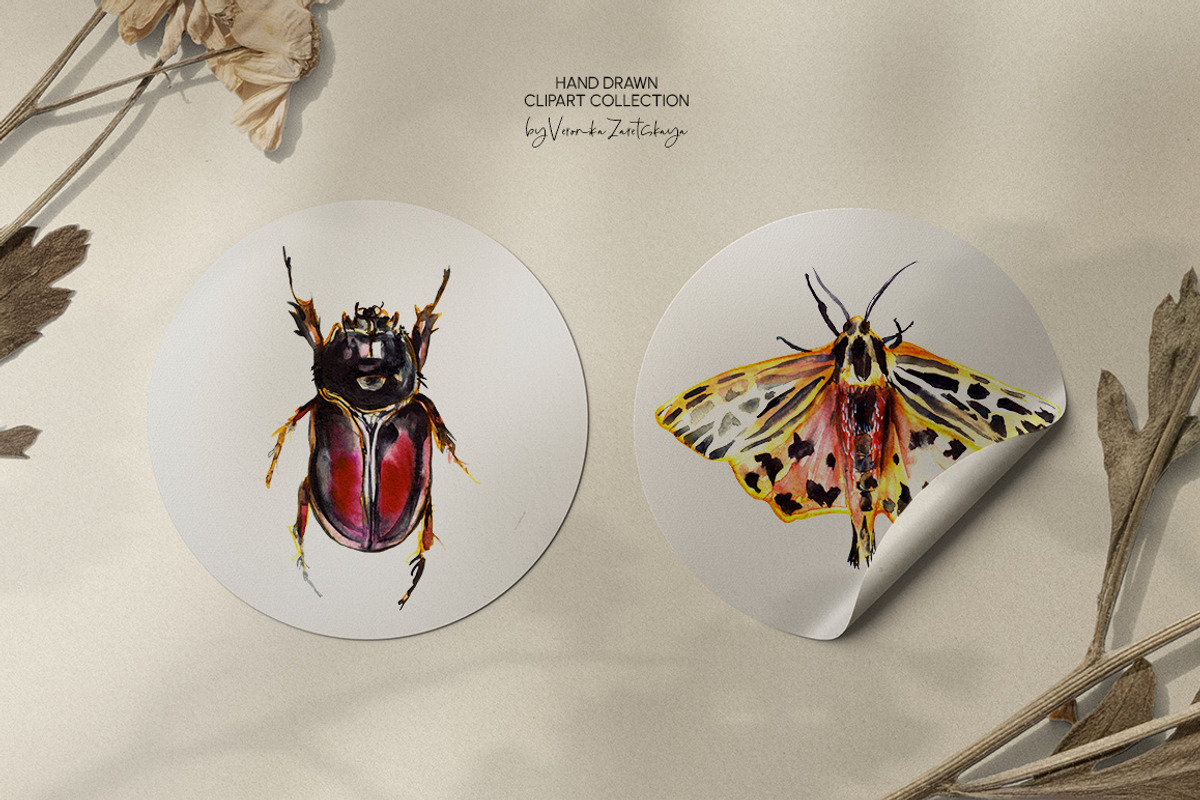 Insects and bugs watercolor clipart, an Object Graphic by ArtSpotVeronika (Photo 7 of 11)