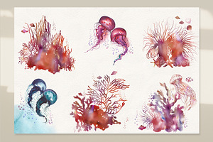 Jellyfish & Corals