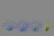 Shrub 2, an Environmental 3D Model by AndrewWhite (Thumbnail 13 of 14)