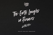 Flower Touch Procreate Brushes, a Brush Add-On by Creative Veila (Thumbnail 7 of 7)