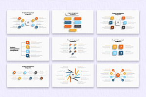 Project Management Infographic Slide