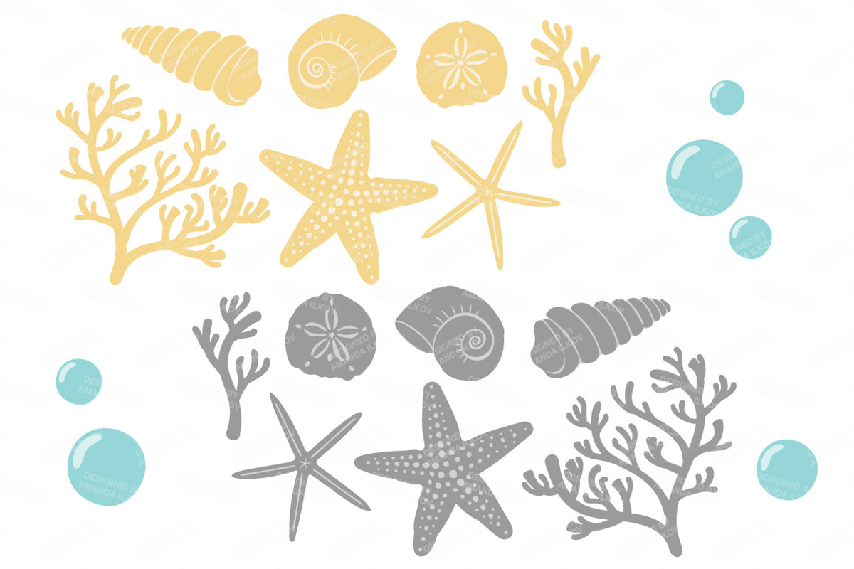 Sunshine Vector Seashells, an Illustration by Amanda Ilkov (Photo 5 of 5)