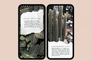 Torn Paper Instagram Story Sticker, an Object Graphic by U + Me Studio (Thumbnail 2 of 9)