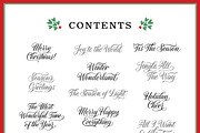 Christmas Lettering Procreate Book, a Seasonal Illustration by Molly Suber Thorpe (Thumbnail 4 of 7)