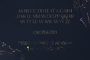 Hidden Gem Serif + Cyrillic and more, a Serif Font by VP Fonts (Thumbnail 8 of 22)