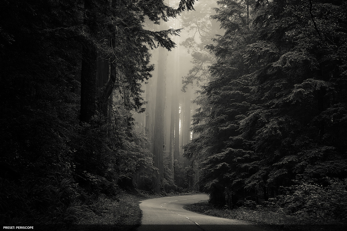50 Monochromatic Presets for Ps - Lr, a Preset Add-On by ShinyPixel (Photo 16 of 17)