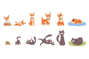 Pets growth stages. Dog cat life, an Animal Illustration by Stock-Smart-Start