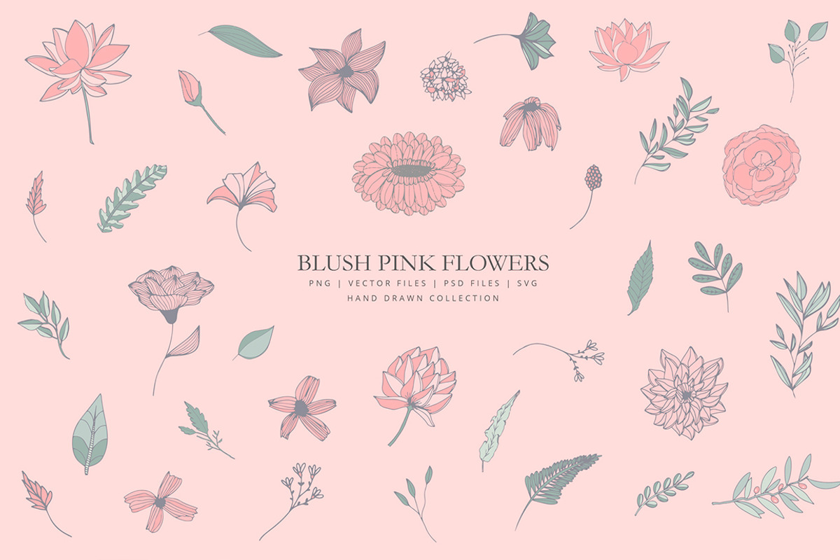 Clip art with blush pink flowers, a Graphic by AS Studio (Photo 4 of 5)