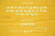 Straight Ahead Modern Script Font, a Script Font by Ronny Studio (Thumbnail 9 of 11)