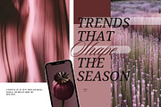 Dark Floral & Mineral Stock Photos, a Nature Photo by Tale.Haus (Thumbnail 17 of 17)